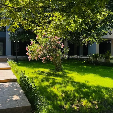 Atliman Park Szálloda 2*